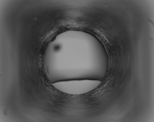 X0000097601350200802290722