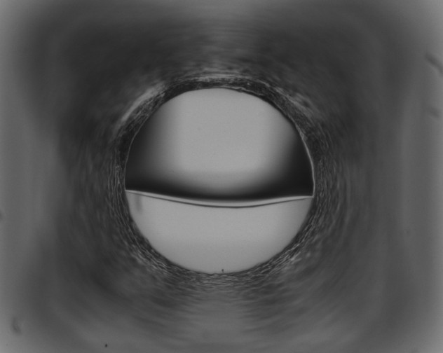 X0000097601351200802290722