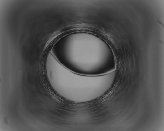 X0000097601352200802290722