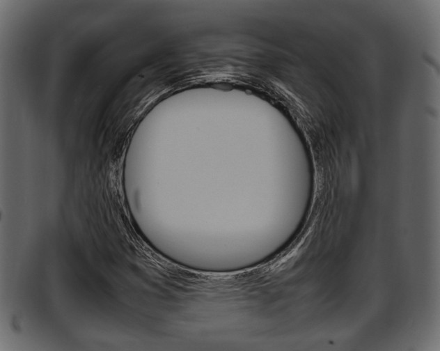X0000097601353200802290722