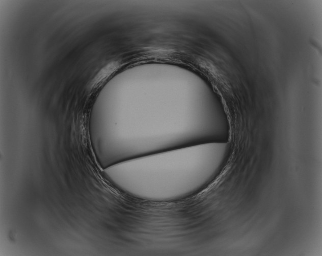 X0000097601354200802290722