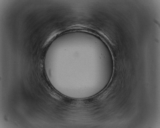 X0000097601355200802290722