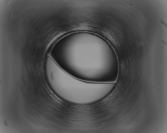 X0000097601356200802290722