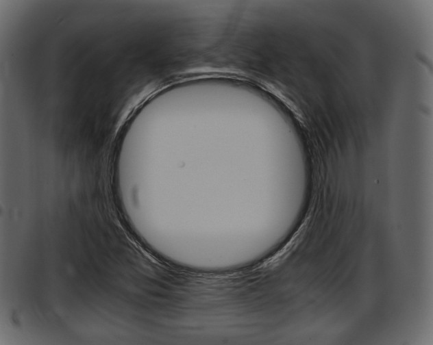 X0000097601357200802290722