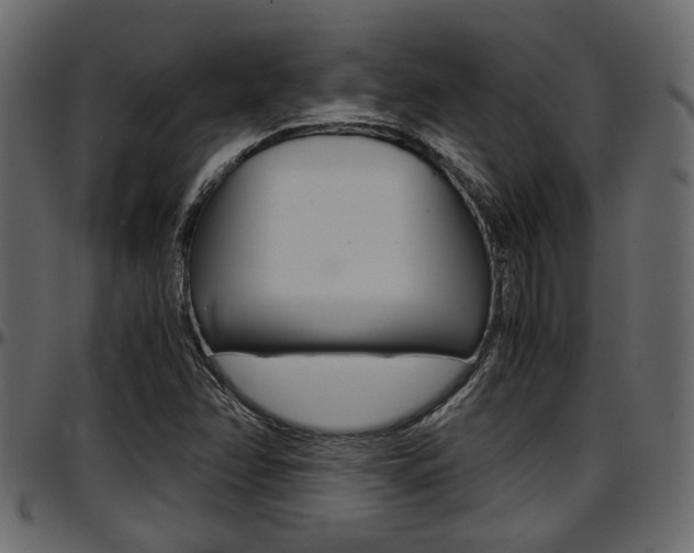 X0000097601358200802290722