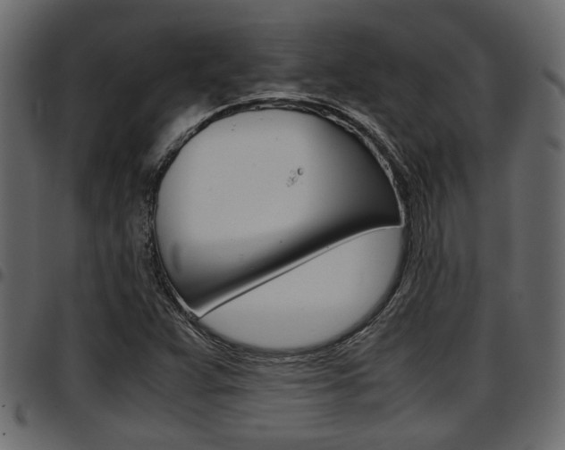 X0000097601359200802290722