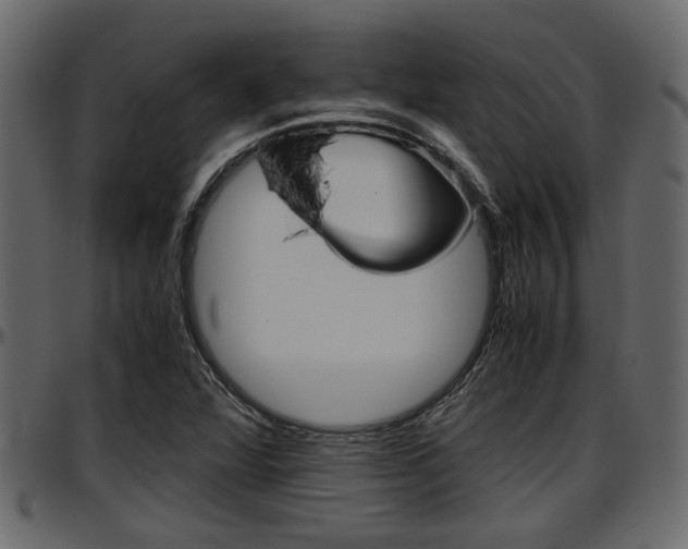 X0000097601360200802290722
