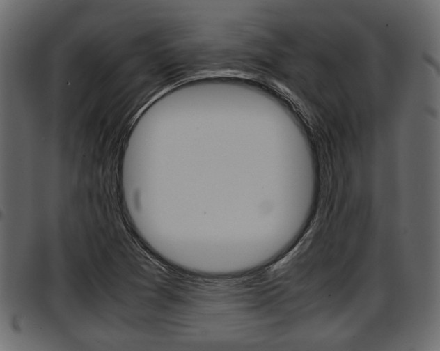 X0000097601361200802290722