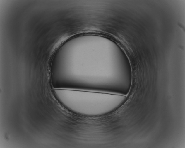 X0000097601363200802290722
