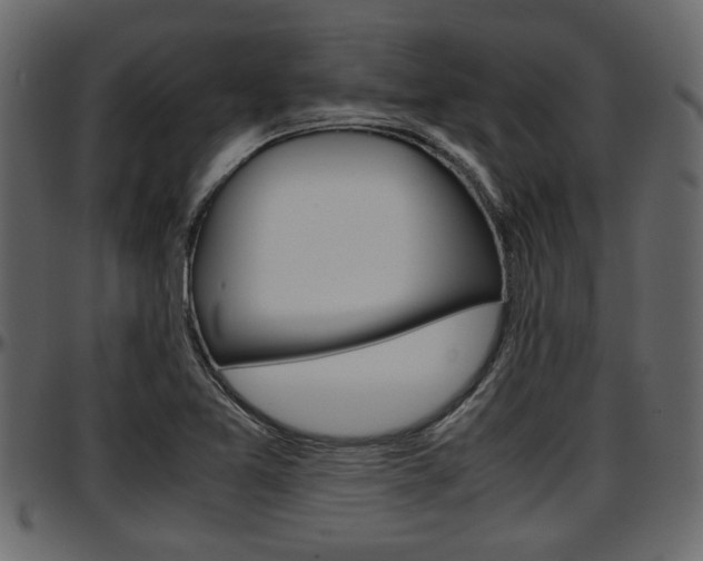X0000097601365200802290722
