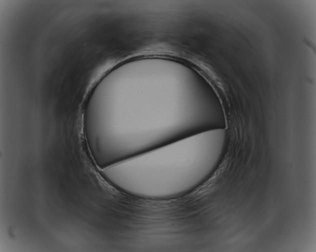 X0000097601366200802290722