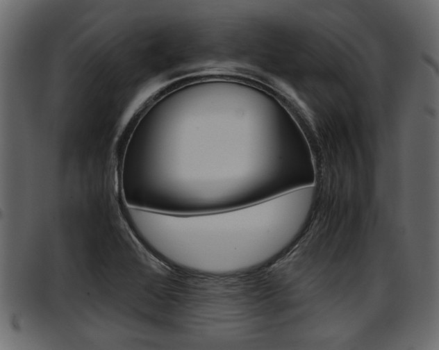 X0000097601368200802290721