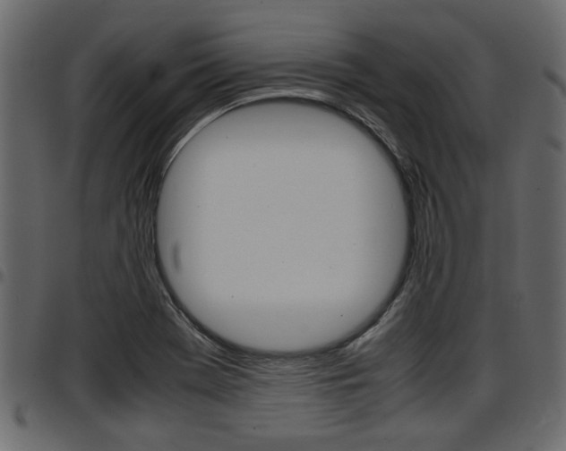 X0000097601369200802290721
