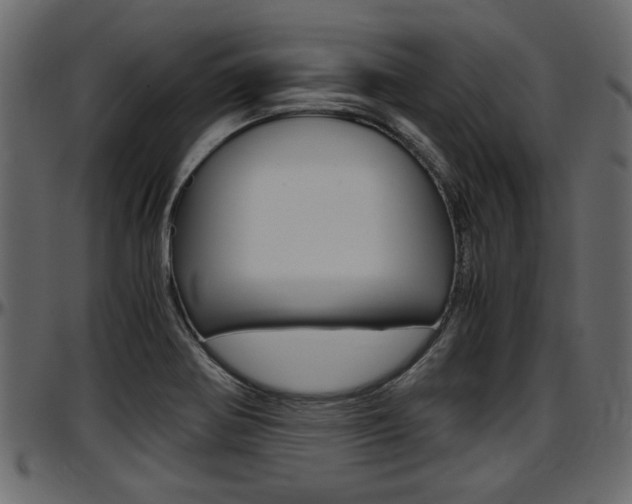 X0000097601370200802290721