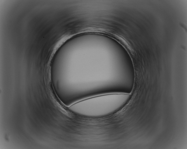 X0000097601371200802290721