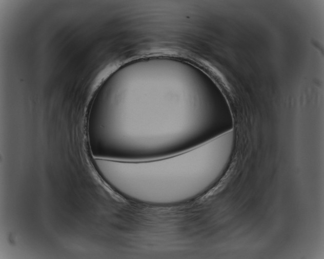X0000097601373200802290721