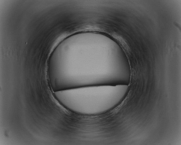 X0000097601374200802290721