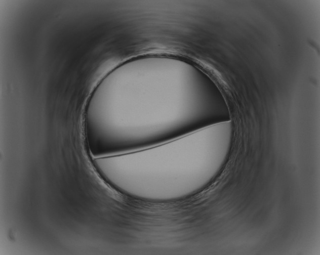 X0000097601375200802290721