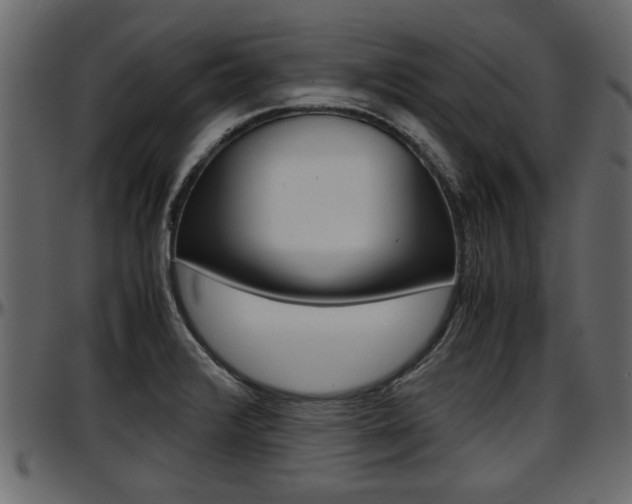X0000097601376200802290721