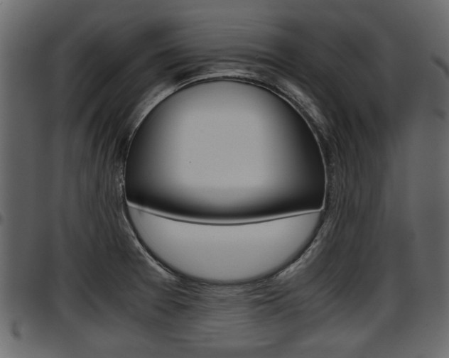 X0000097601377200802290721