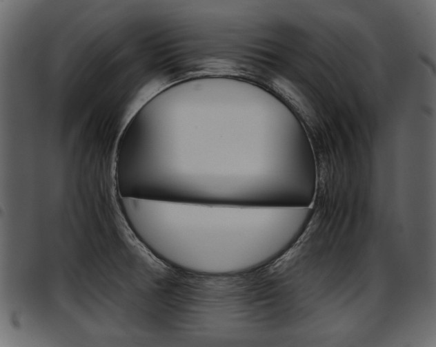X0000097601378200802290721