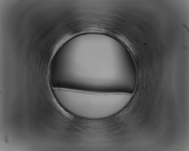 X0000097601379200802290721