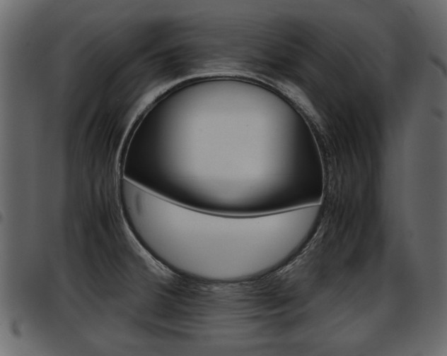 X0000097601380200802290721