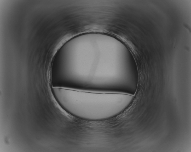 X0000097601383200802290721