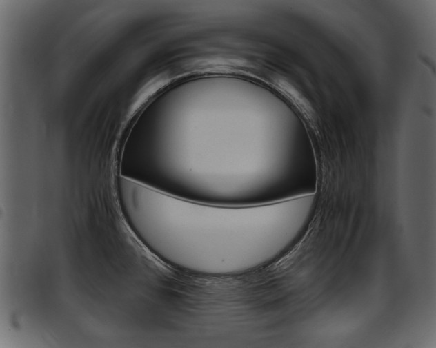 X0000097601384200802290721