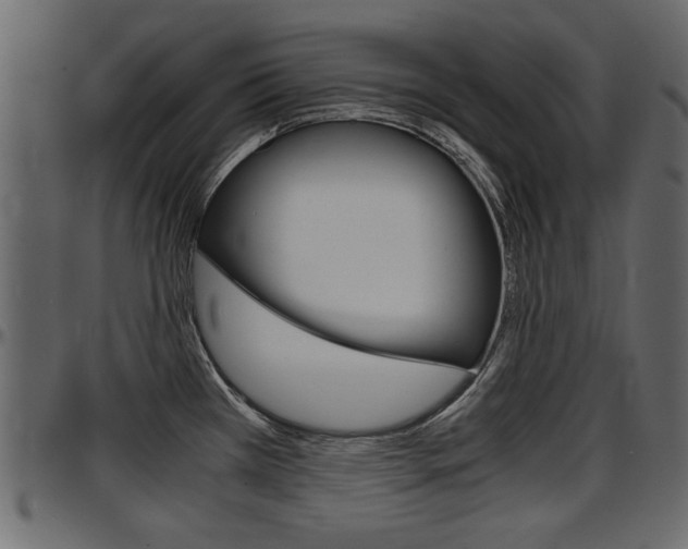 X0000097601385200802290721