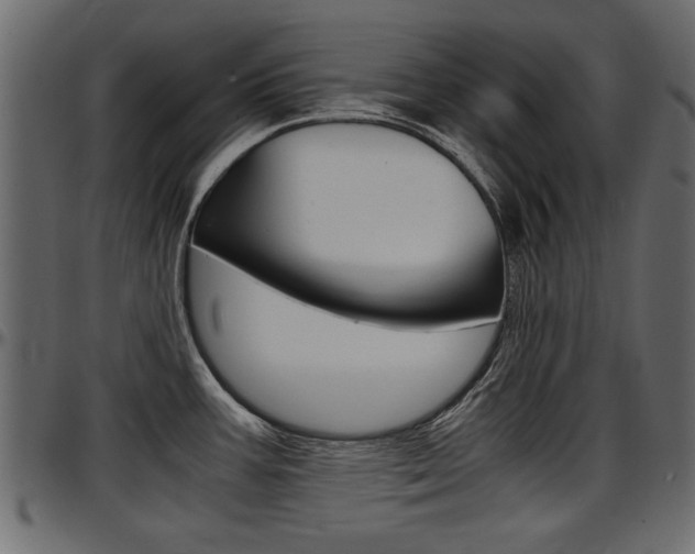 X0000097601387200802290721