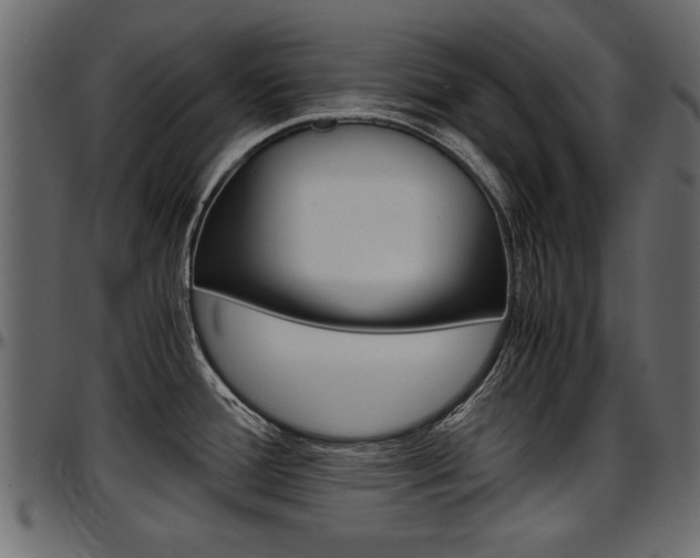 X0000097601388200802290721
