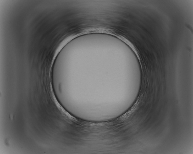X0000097601389200802290721