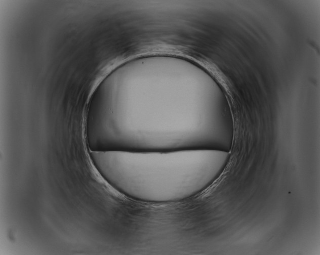 X0000097601390200802290721