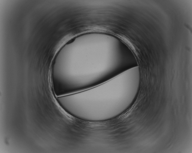 X0000097601391200802290721