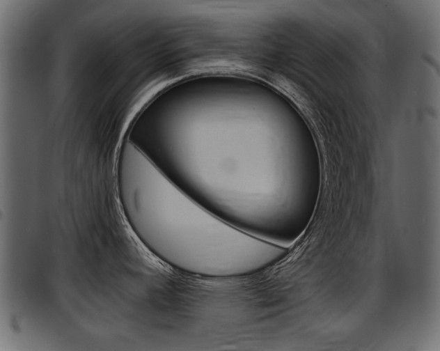 X0000097601392200802290721