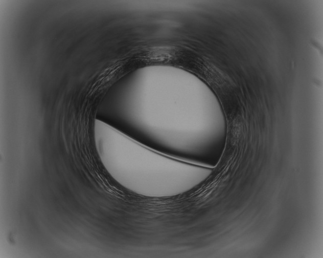 X0000097601394200802290720