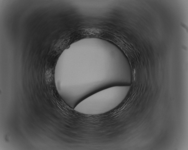 X0000097601395200802290720