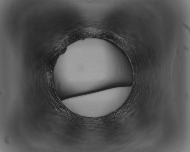 X0000097601397200802290720
