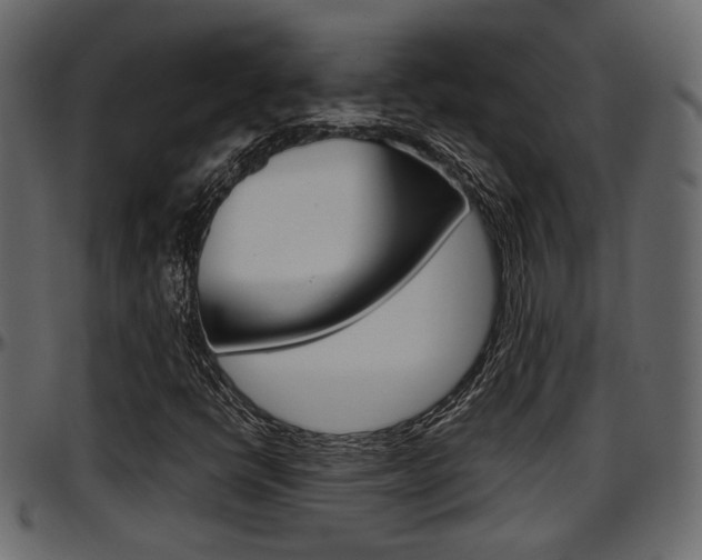 X0000097601398200802290720
