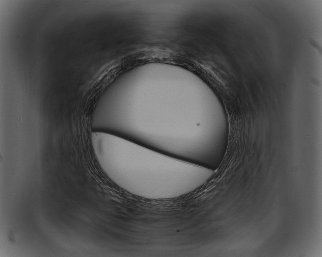 X0000097601399200802290720