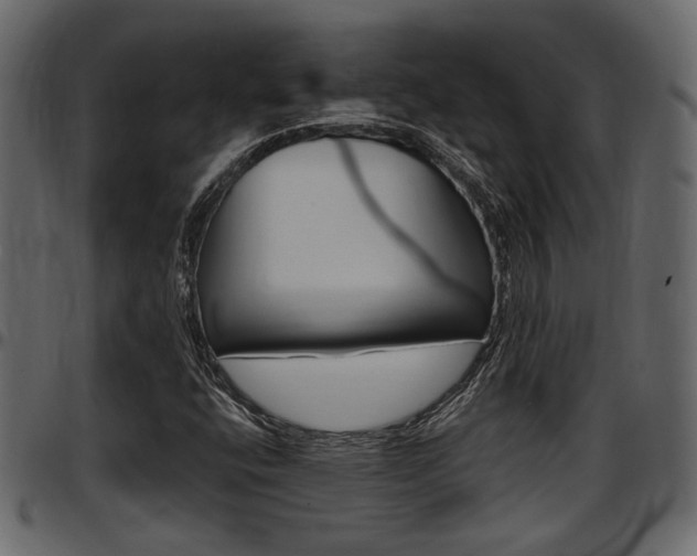 X0000097601400200802290721