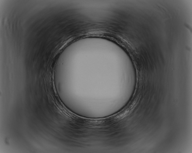 X0000097601401200802290721