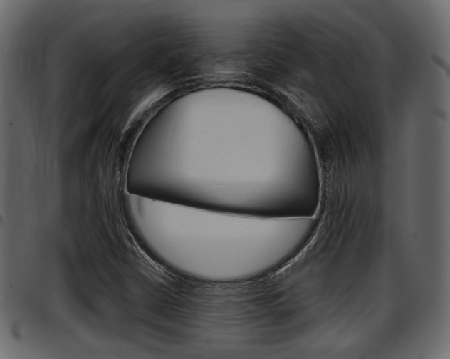 X0000097601402200802290721