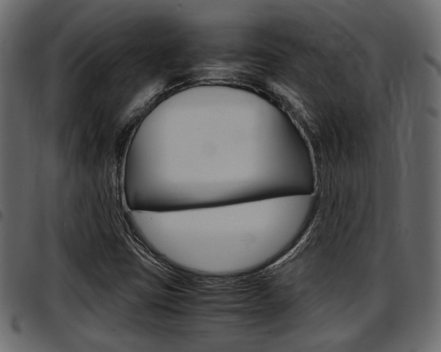 X0000097601403200802290721
