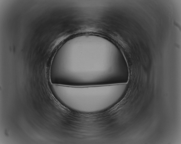 X0000097601404200802290721
