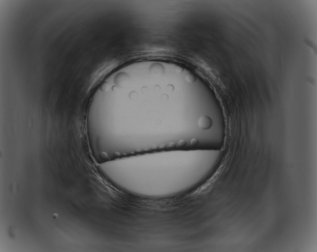 X0000097601405200802290721