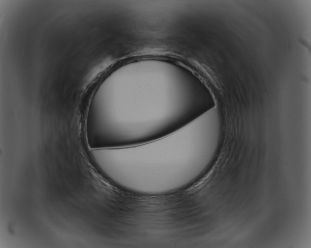 X0000097601406200802290721