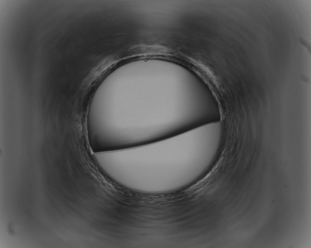 X0000097601407200802290721