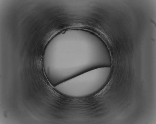 X0000097601409200802290721